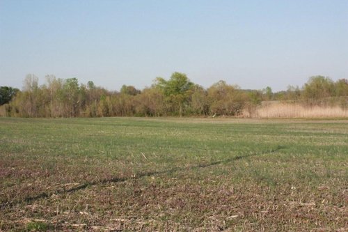 Property photo 12 - 641 Acres Offered in 16 Tracts - 545 Cropland Acres